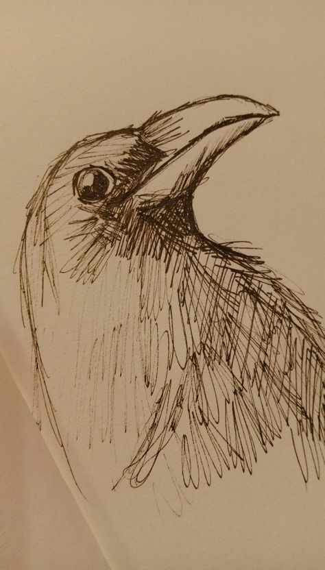 Ink Drawings Easy, Raven Pen Drawing, Cute Raven Art, Drawings Of Ravens, Black Pen Sketches Easy, Black Pen Sketches Aesthetic, Crow Drawing Easy, Black Pen Drawing Sketches, Raven Art Drawing