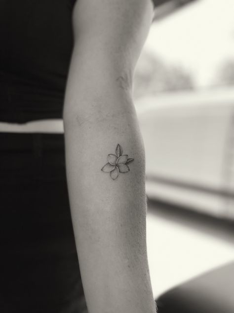 detailed flower tattoo, fine line, dainty tattoo, plumeria Hawaiian Themed Tattoos Small, Small Tropical Flower Tattoos For Women, Tiny Hawaiian Flower Tattoo, Dainty Plumeria Tattoo, Plumeria Tattoo Behind Ear, Minimalist Plumeria Tattoo, White Plumeria Tattoo, Fragipanni Flower Tattoo, Black And White Plumeria Tattoo