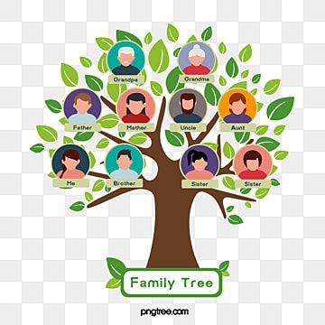 genealogy tree,avatar,family,family tree with hanging head,cartoon family tree,vector family tree,family portrait,family photo,cartoon big tree with avatar Avatar Family Tree, Avatar Family, Family Tree Diagram, Family Tree Graphic, Family Tree Logo, Family Tree Clipart, Genealogy Tree, Genealogy Gifts, Head Cartoon