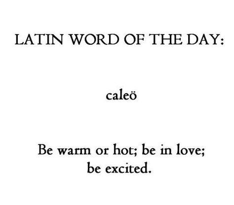 Phrase Aesthetic, Quotes Latin, Learning Latin, Tattoos Words, Latin Quotes, Latin Phrases, Latin Word, Fancy Words, Weird Words