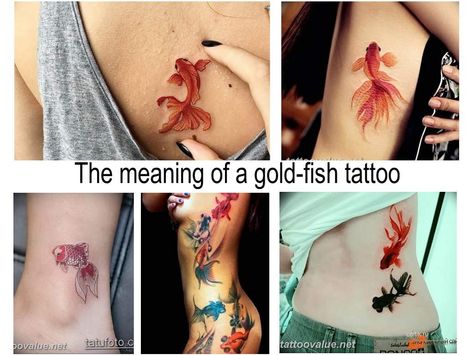 Gold Fish Tattoo, Goldfish Tattoo, Fish Tattoo, Gold Fish, The Meaning, Goldfish, The Picture, Fish Tattoos, Watercolor Tattoo