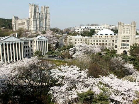 Kyunghee University, Dongdaemun-gu, Seoul Kyunghee University, Kdrama Moments, School Interior, Asian Culture, Story Board, University Campus, Seoul South Korea, Culture Travel, South Korea