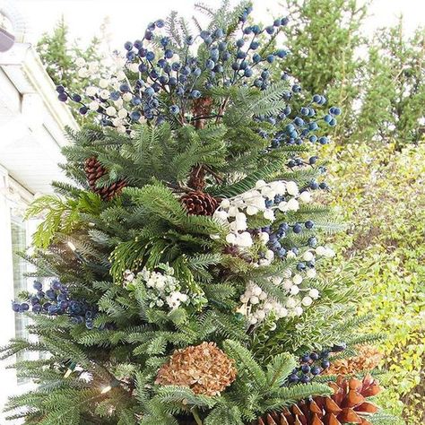 329 likes, 39 comments - creeklinehouse on November 13, 2019: "I'm not promising that I'll always do a full-size Christmas tree on our front porch every year, b..." Blueberry Christmas Tree, Outdoor Christmas Tree, Farmhouse Porch, Natural Christmas, White Farmhouse, Garden Centre, Christmas Porch, November 13, Christmas Decorating