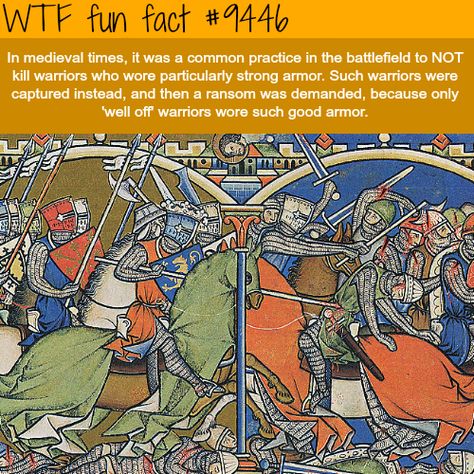 WTF Facts : funny, interesting & weird facts History Graphic Organizers, Weird History Facts, Weird History, Funny Art History, Best Armor, What The Fact, Facts Funny, History Facts Interesting, Medieval Times