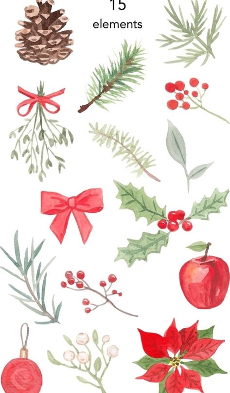 Watercolor Christmas Clipart, Mistletoe Drawing, Mistletoe Watercolor, Watercolor Mistletoe, Christmas Leaf, Xmas Clipart, Winter Karten, Christmas Leaves, Illustration Noel