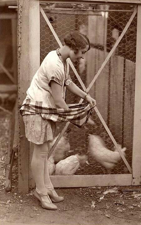 Vintage egg collecting......beautiful ! Feeding Chickens, Chicken Lady, Farm Photo, Chickens And Roosters, Winner Winner, Vintage Farm, Foto Vintage, Body Reference, Vintage Life