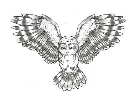 Freedom Bird, Imprimibles Harry Potter, Owl Wings, Owl Tattoo Design, Owls Drawing, Wings Tattoo, Owl Tattoo, Chest Piece, Birds Tattoo