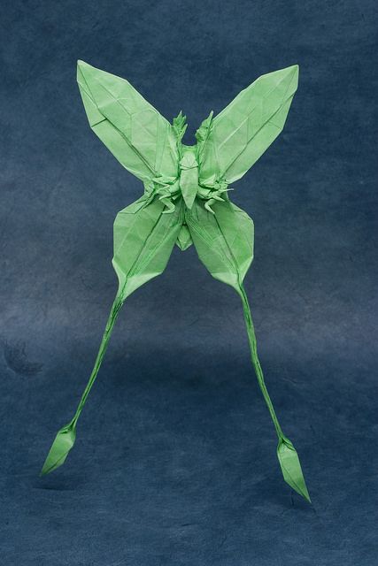 Luna Moth - Jason Ku | 32 cm square of MC 24 gsm Toyo gampi.… | Flickr Moth Paper Craft, Origami Moth, Origami Bugs, Science Flashcards, Origami Insects, Origami Japan, Paper Forms, Paper Play, Rope Crafts Diy