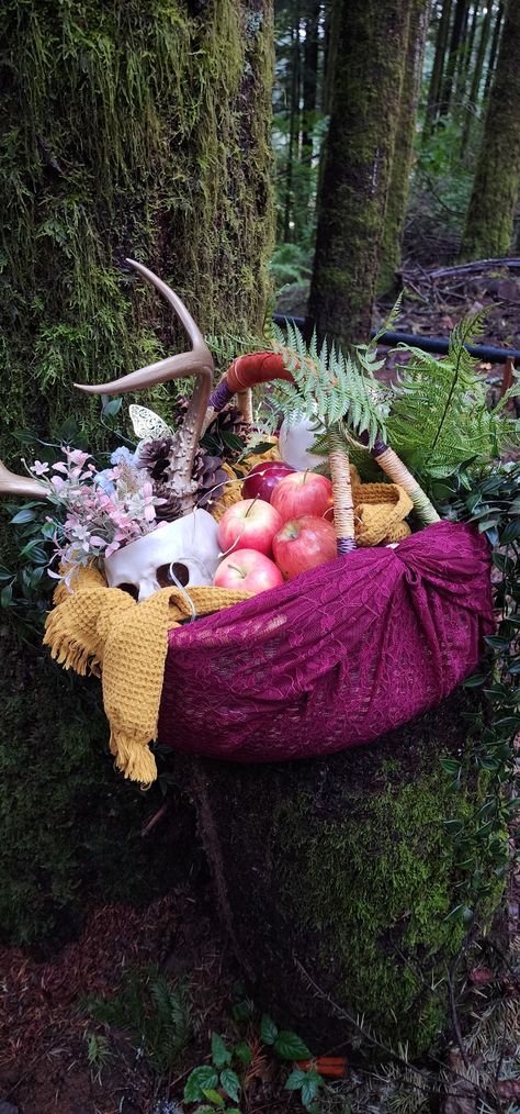 Some items you might find in a Forest Witche's basket. Howls Bedroom, Witches Night, Witches Night Out, Witch Party, Forest Party, Halloween 2024, 30th Birthday, Picnic Basket, Ritual