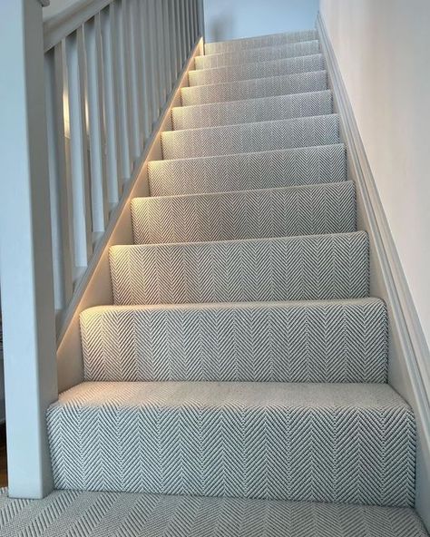 Stair Carpets Ideas Hallways, Stairs Design Carpet, Full Carpet On Stairs, Rendered Porch On Brick House, Basement Wall To Wall Carpet, Stairs And Hallway Ideas Modern, Hallway Stairs Carpet Ideas, Hall Stairs Carpet Ideas, Loop Carpet Stairs