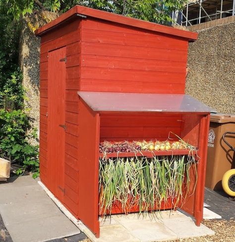 Alan added an onion-drying extension to his shed and a covered area behind. Allotment Shed Ideas, Onion Drying Rack, Allotment Ideas Inspiration, Allotment Inspiration, Allotment Plan, Allotment Shed, Small Shed Plans, Allotment Ideas, Garden Tools Diy