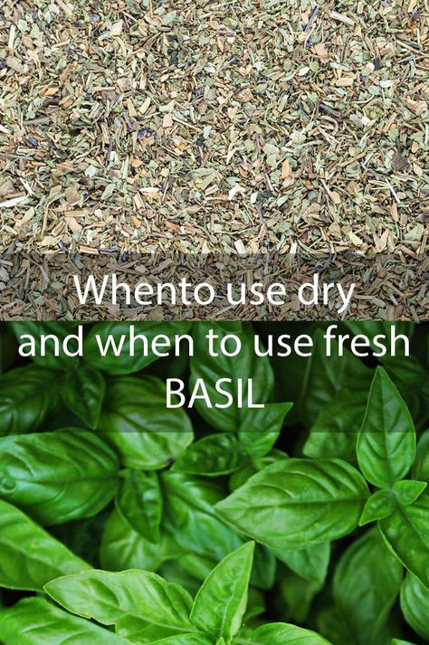 Learn what types of recipes are best for dry basil and what types need fresh Dried Basil Recipes, Basil Care, Mushroom Sauce Steak, Dry Basil, Dried Basil Leaves, Kitchen Basics, Dried Basil, Basil Recipes, Food Substitutions