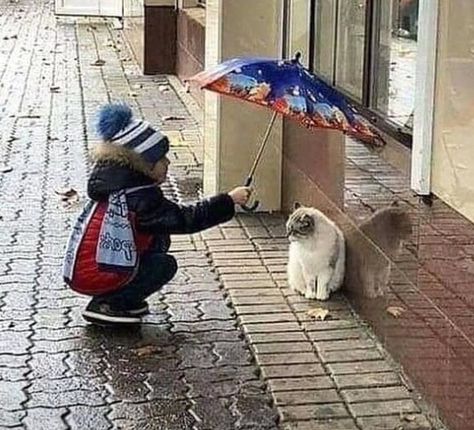 Kindness Pictures Photography, Quotes About Helping Others, Quotes About Helping, Kindness Pictures, Helping Others Quotes, Human Kindness, Happy Pictures, Pet Hair Removal, Human Poses Reference