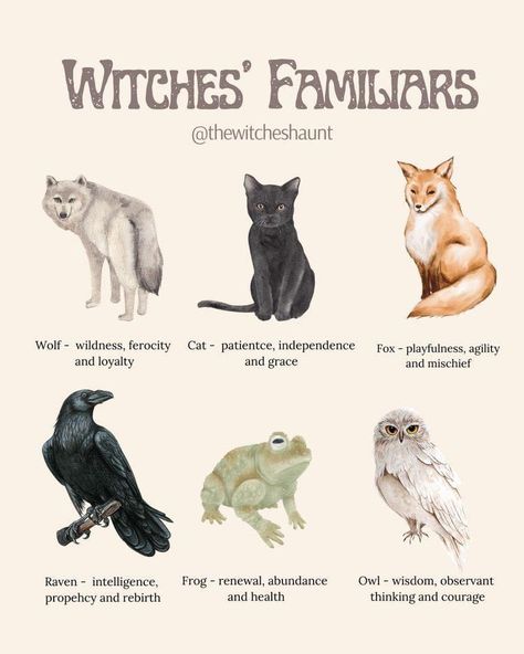 Witch Craft Books, Witchy Arts And Crafts, Witch Things To Do, Familiars Witch Animal, Witchy Things To Do, Witch Familiar Animals, Modern Witch Art, Cute Witch Aesthetic, Witch And Familiar