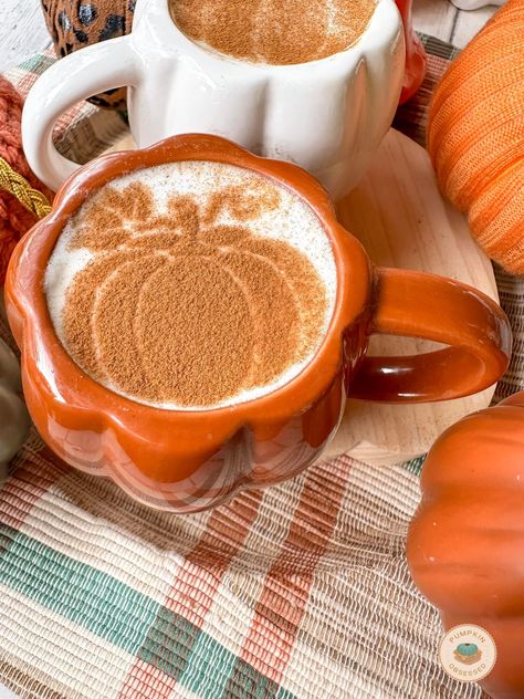 Pumpkin Spice Season, Autumn Coffee, Pumpkin Seasoning, Autumn Vibes, Autumn Flavors, Fall Aesthetic, Autumn Aesthetic, Latte Art, Pumpkin Spice Latte