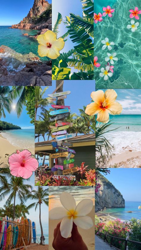 Fiji Aesthetic Wallpaper, Most Beautiful Images, Spring Wallpaper, Summer Vibes, Aesthetic Wallpapers, Collage, In This Moment, Pure Products