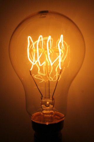 Light Bulb Aesthetic, Bulb Aesthetic, Cage Light Chandelier, Hanging Light Bulbs, Edison Light, Cage Light, Filament Bulb Lighting, Edison Lighting, Incandescent Light Bulb