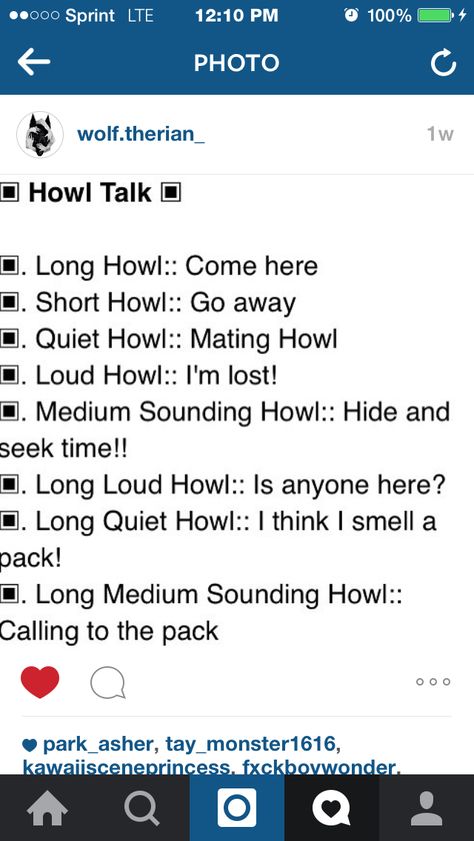 I tot my pack all of these Sorry if I spelled that wrong Wolf Pack Paramount Plus, Therian Language, Tips For Wolf Therian, Therian Tips For School, Therian Things To Do When Bored, Therian Username Ideas, Things To Do As A Therian, Wolf Therian Tips, Therian Journal Ideas