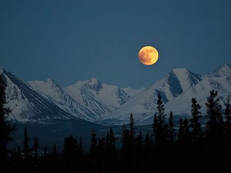 In early winter dark skies descend on Denali National Winter Biking, Mountains Night, Mountains At Night, Black Magic Love Spells, Mountains Photo, Full Moon Rising, Orange Moon, Moon Rising, Mountain Photos