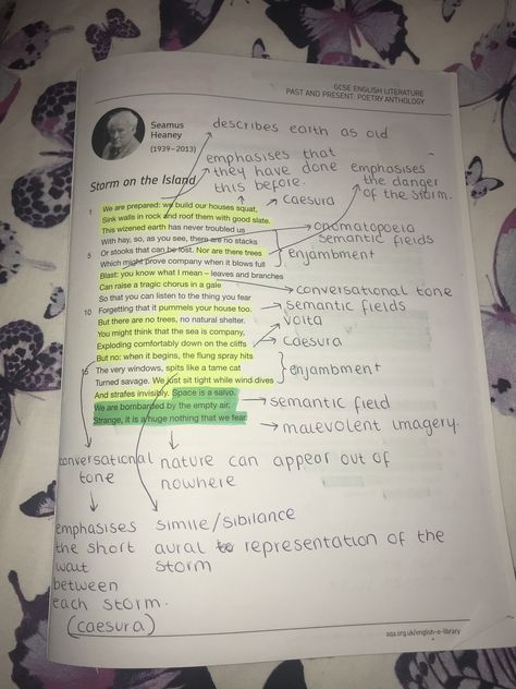 Here are some notes about Storm on the Island✌🏼 Storm On The Island Poem Annotations, Storm On The Island Poem Analysis, English Literature Classroom, Storm On The Island, Brow Drawing, English Literature Poems, Gcse Notes, Literature Poems, Gcse Poems