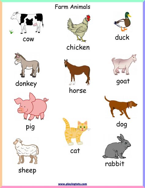 5 Farm Animals Games Preschool d8ae0ddccd884b26b8a9b ae17 Free Printable Farm Animals, Animals Chart, Printable Farm Animals, Farm Animals Games, Farm Animals For Kids, Aktiviti Prasekolah, Farm Animals Pictures, Animal Pictures For Kids, Farm Animals Preschool