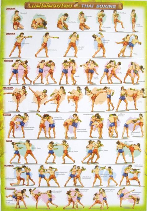 Muay Thai Training Poster Muay Thai Techniques, Karate Quotes, Muay Boran, Karate Shotokan, Judo Karate, Muay Thai Kicks, Mixed Martial Arts Training, Boxe Thai, Trening Sztuk Walki