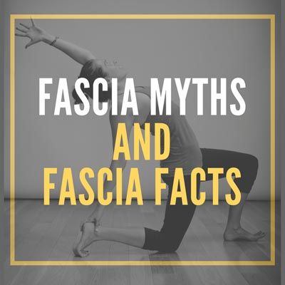 What Is Fascia, Fascia Stretching, Tissue Biology, Fascia Blasting, Fascia Blaster, Neck Tension, Yoga Movement, Yoga World, Foam Rollers