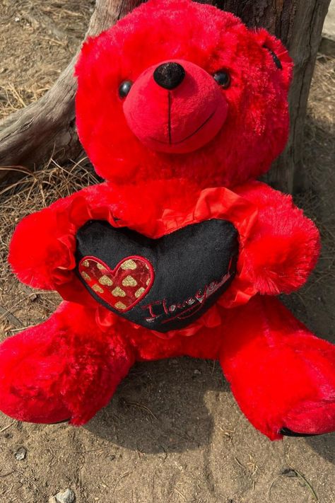 Red Valentine, Gifts For My Sister, Valentine Gift, Valentine Gifts, Teddy Bear, Gift Ideas, Red, Gifts