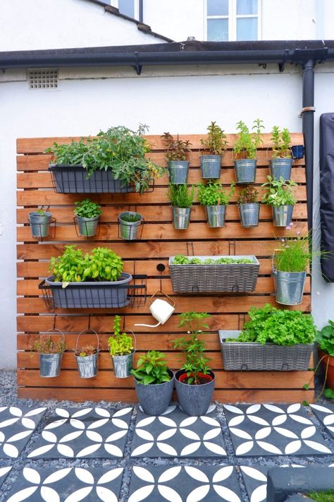 Kebun Herbal, Herb Garden Wall, Taman Diy, Outdoor Herb Garden, Garden Wall Designs, Hanging Herb Garden, Herb Wall, Diy Herb Garden, Vertical Herb Garden