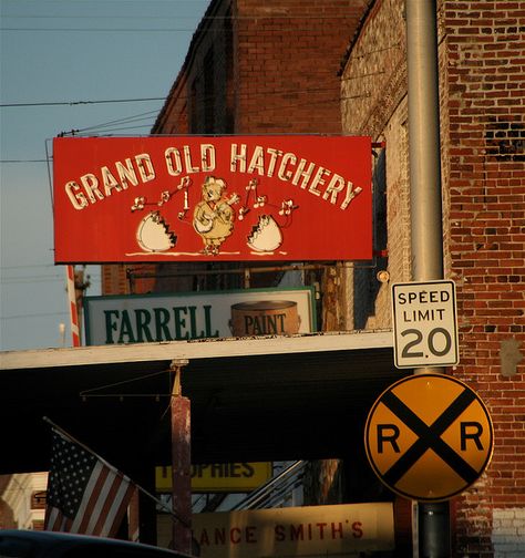 "Down On Main Street" #BonnieBlanton #photography #Tennessee #signs #Dickson Dickson Tennessee, Nashville Vacation, Destination Unknown, Kentucky Girl, Liberty And Justice For All, Tennessee Travel, Tennessee State, Rocky Top, Good Ole