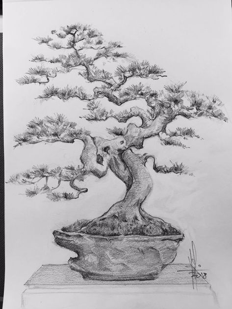 Bonsai Back Tattoo, Bonsai Sketch Drawing, Bonsai Tree Drawing Sketches, Japanese Bonsai Tree Drawing, Bonsai Art Drawing, Bonsai Sketch, Bonsai Tree Drawing, Bonsai Tree Tattoo, Bonsai Tree Painting