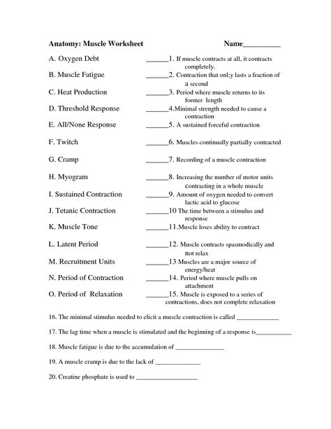 Anatomy and Physiology Muscle Worksheets Anatomy And Physiology Worksheets, Anatomy Worksheets, Anatomy Diagrams, Muscle Diagram, Human Body Worksheets, Muscle System, Study Printables, Basic Anatomy And Physiology, Exercise Physiology