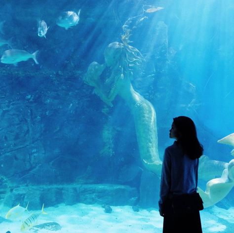 Melbourne Aquarium, Sea Life, Melbourne, Mood Board, Birthday, Travel, Quick Saves