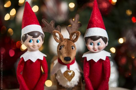 12 Fun facts about Elf on the Shelf you never knew before – SheKnows Elf Images, Cute Christmas Backgrounds, December Images, Christmas Wallpaper Ideas, Elf Pets, Awesome Elf On The Shelf Ideas, Christmas Background Images, Home Gym Design Garage, Xmas Elf