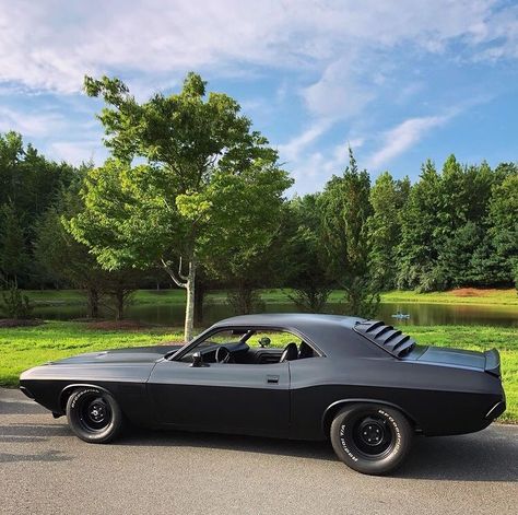 1973 Dodge Challenger 1973 Dodge Challenger, Rad Racer, Dodge Muscle Cars, Mopar Or No Car, Custom Muscle Cars, Car Mods, Pontiac Firebird, Dodge Challenger, Firebird