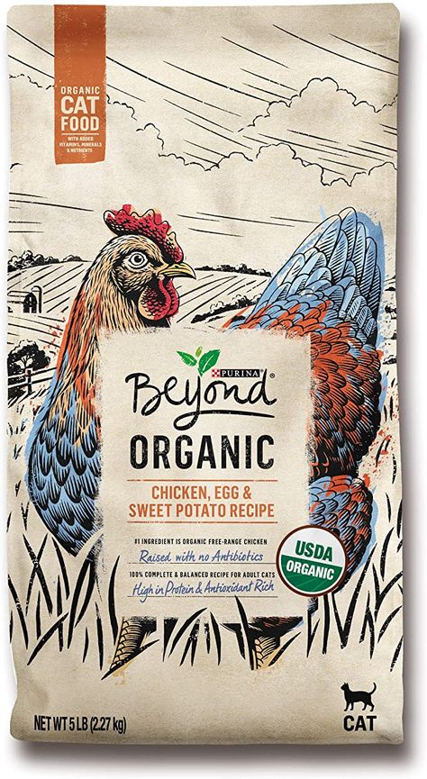 Amazon.com: Purina Beyond High Protein Adult Dry Cat Food, Organic Chicken, Egg & Sweet Potato Recipe - 5 lb. Bag : Everything Else Egg Sweet Potato, Organic Cat Food, Eggs And Sweet Potato, High Protein Dog Food, Rich Dog, Organic Dog Food, Sweet Potato Recipe, Salmon Oil, Natural Dog Food