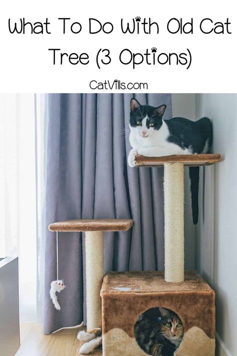 Cat Tower Makeover, Cat Tree Makeover, How To Make A Cat Tree, Refurbished Cat Tree, Cat Tree Ideas, Diy Cat Tree Homemade, Cat Tree Refurbish, Upcycle Cat Tree, Cat Trees