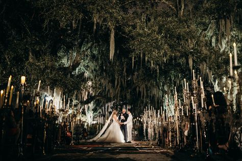 Weekend In New Orleans, Nola Wedding, New Orleans Museums, Joshua Tree Wedding, Vera Wang Wedding, Vogue Wedding, New Orleans Wedding, Romantic Night, Spanish Moss