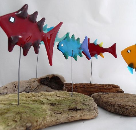 fish on driftwood Fused Glass Fish, Fused Glass Wall Art, Driftwood Projects, Glass Fusion Ideas, Fused Glass Artwork, Corporate Team Building, Fused Glass Ornaments, Glass Fusing Projects, Glass Art Projects