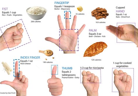 Healthy Meal Portions, Portion Size Guide, Food Portion Sizes, Recipes Using Rotisserie Chicken, Nutrition Activities, Improve Nutrition, Nutrition Consultant, Energy Balance, Portion Sizes