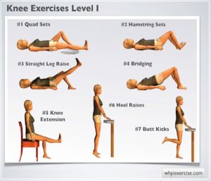 Knee Replacement Exercises, Knee Strengthening, Knee Strength, Knee Strengthening Exercises, How To Strengthen Knees, Knee Pain Exercises, Oblique Workout, Back Stretches For Pain, Lower Back Pain Exercises