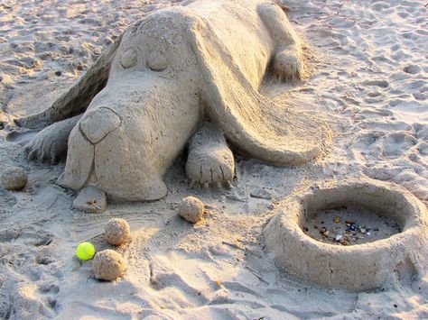 You are great at creating self-portraits but see the value in materials that will wash away. Philosophically speaking. Beach Sand Art, Basset Hound Art, Sand Sculpture, Basset Hound Puppy, Bassett Hound, Rehoboth Beach, Sand Sculptures, Dog Rooms, Palm Beach Florida