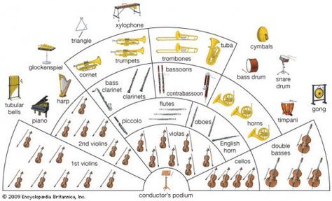 A Beginner's Guide to Instruments of the Orchestra Instruments Of The Orchestra, Bass Cello, Music Terms, Music Math, Music Teaching Resources, Homemade Instruments, Music Curriculum, Woodwind Instruments, Music Composition