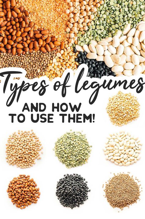 What are legumes? And should you be eating more of them? Everything you need to know about buying, storing, and cooking legumes here! #legumes #vegetarian #vegan #glutenfree #beans #chickpeas #peas Beans And Legumes Recipes, Stovetop Beans, Cooking Legumes, Types Of Legumes, Greenhouse Living, Lacto Vegetarian, Legumes Recipes, Longevity Recipes, Rich Recipes