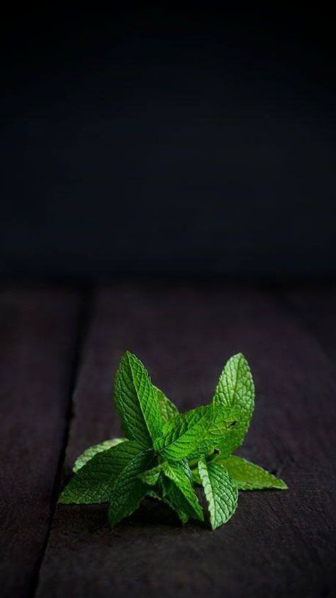 Spring Appetizers, Ingredients Photography, Vegetables Photography, Dark Food Photography, Food Art Photography, Trendy Plants, Roasted Cherry, Food Photography Inspiration, Fruit Photography