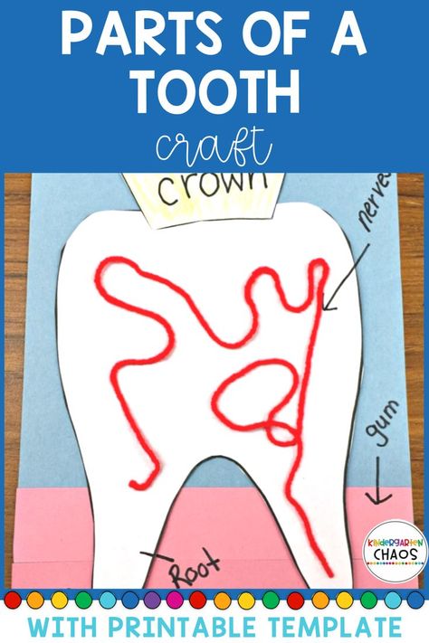 Dental Activities For Preschool, Parts Of A Tooth, Teeth Kindergarten, Tooth Craft, Dental Health Preschool Activities, Tooth Preschool, Dentist Crafts, Dental Health Preschool Crafts, Dental Health Crafts