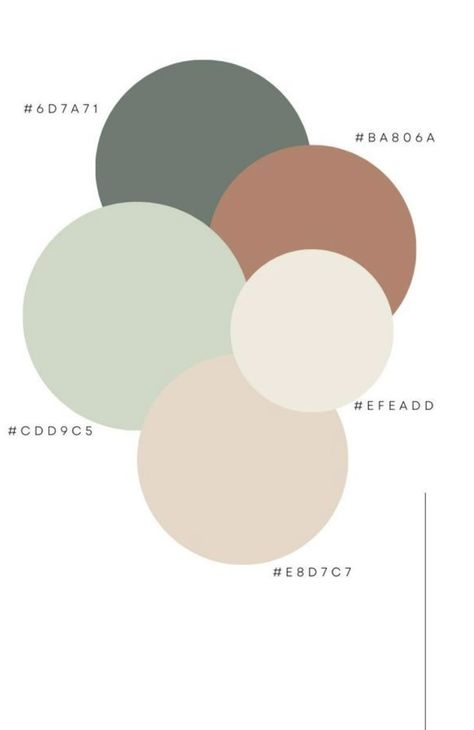 Injector Room, Spa Color Palette, Spa Colors, Spa Room Decor, Instagram Branding Design, Spa Ideas, Color Pallete, Business Marketing Plan, Instagram Branding