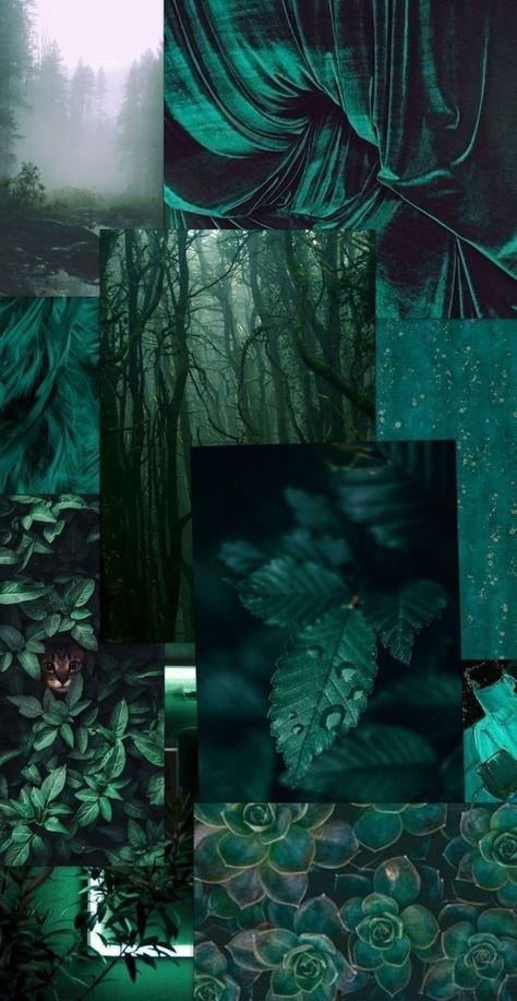 Ultraviolet Color Palette, Viridian Aesthetic Wallpaper, Viridian Aesthetic, Witchy Color Palette, Emerald Green Color Palette, Pretty Wallpaper Iphone Girly Beautiful, Pretty Wallpaper Iphone Girly, Wallpaper Iphone Pretty, Wallpaper Iphone Aesthetic