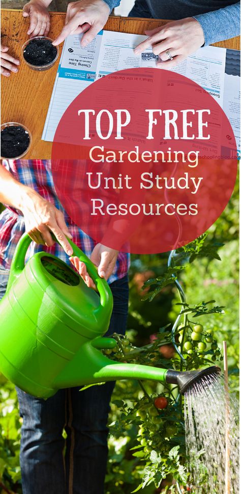 Homeschool Gardening, Homeschool Garden, Garden Unit Study, Bean Growing, Sustainable Education, School Garden Club, School Greenhouse, Learning Garden, Garden Classroom