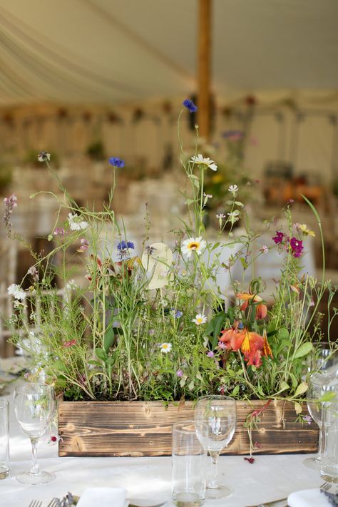 Planters with wildflowers! Would this look nice, or wilty? Oh man it would be SO EASY, and just DONE. Rustique Wedding, Bodas Boho Chic, Wildflower Centerpieces, Centerpieces Rustic, Katie White, Colour Wedding, Bee Wedding, Food Events, Colourful Wedding